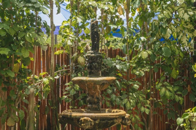 fotos da pousada são jorge porto de galinhas